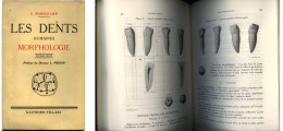 Odontologie, Orthodontie : "LES DENTS HUMAINES - MORPHOLOGIE", Marseillier - 1969 - OY - Santé