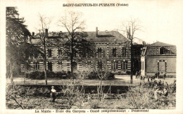 SAINT SAUVEUR EN PUISAYE LA MAIRIE ECOLE DE GARCONS PENSIONNAT - Saint Sauveur En Puisaye