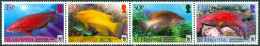 SAINT HELENA 2011 WWF STRIP OF 4, NATURE PROTECTION, FISH** - Peces