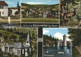 72117682 Hessenthal Spessart Maerchenschloss Kirche Wild Mespelbrunn - Other & Unclassified