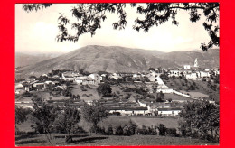 ITALIA - Abruzzo - Cartolina Viaggiata Nel 1968 - Magliano Dei Marsi (L'Aquila) - Scorcio Panoramico - Other & Unclassified