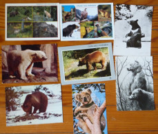 Lot De 119 Cartes Postales Sur Les Chats-ânes-chèvres-ours-reptiles.. Etc .. Voir Scans - 100 - 499 Karten