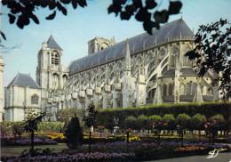 18 - Bourges - La Cathédrale Saint Etienne Vue Du Jardin De L'Archevêché - Bourges