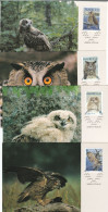 Owl, Owls, Eagle-owl, Bubo Bubo, Hibou Grand-duc, Uhu, Buho, Rapace - Set Of 4,ALAND ,1996 Carte Maximum Card WWF - Owls