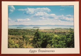 Lake Trasimeno - Panorama With The Maggiore And Minore Islands (c868) - Perugia