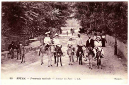 17 - B23949CPA - ROYAN - Promenade Matinale -  Avenue Du Parc -  Anes - Très Bon état - CHARENTE-MARITIME - Royan