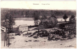 18 - B23776CPA - VIERZON - Etang De Foix - Très Bon état - CHER - Vierzon