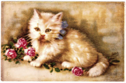 - F23431CPA - Chat Dessiné - Chaton Et Roses - SERIE Charme 820 - Très Bon état - THEMES - Katzen