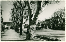 83 - B16244CPSM - BARJOLS - Place De La Rouguiere, Monument - Assez Bon état - VAR - Barjols