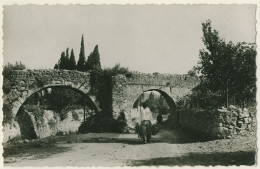 83 - B16235CPSM - CUERS - Les Cinq Ponts - Route De Valeros - Très Bon état - VAR - Comps-sur-Artuby