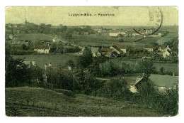 36 - B4330CPA - LUCAY LE MALE - Panorama - Bon état - INDRE - Sonstige & Ohne Zuordnung