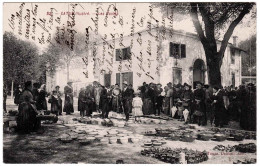 46 - T25236CPA - CATUS - Les écoles - Marché Aux Poteries - Très Bon état - LOT - Autres & Non Classés