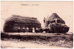 47 - B25237CPA - CASTELJALOUX - Une Gerbiere - Parfait état - LOT-ET-GARONNE - Casteljaloux