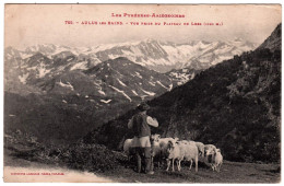 9 - B25071CPA - AULUS LES BAINS - Vue Prise Du Plateau De LERS - Berger Et Moutons - Très Bon état - ARIEGE - Autres & Non Classés