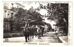 11 - B24895CPA - ORNAISONS - Avenue De Luc - Attelage - Très Bon état - AUDE - Andere & Zonder Classificatie