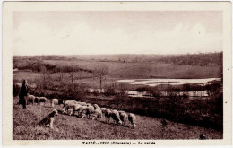 16 - B24287CPA - TAIZE - AIZIE - La Vallée - Troupeau De Mouton Et Bergère - Très Bon état - CHARENTE - Sonstige & Ohne Zuordnung