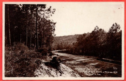 33 - B29708CPSM - LA TESTE DE BUCH - Route De La Teste à Pyla Sur Mer Et La Foret De Pins - Très Bon état - GIRONDE - Autres & Non Classés