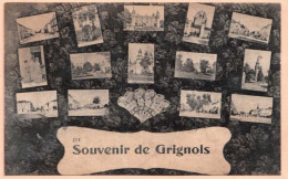 33 - B27576CPA - GRIGNOLS - Souvenir - Carte Multivues - Très Bon état - GIRONDE - Sonstige & Ohne Zuordnung