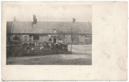 - F26519CPA - AGRICULTURE - Intérieur De Ferme - Carte Photo - Vaches Normandes - Très Bon état - THEMES - Bauernhöfe