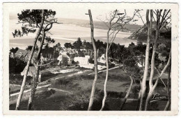 22 - B25791CPSM - SAINT ST EFFLAM - Coin De Plage à Travers Les Pins - Très Bon état - COTES-D'ARMOR - Autres & Non Classés