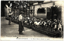 2 - B25739CPA - VILLERS COTTERETS - La Meute Menier Avant Le Repas - Très Bon état - AISNE - Villers Cotterets