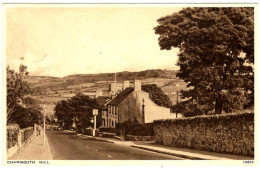 - B25680CPA - CHARMOUTH - ROYAUME UNI - Charmouth Hill - Très Bon état - EUROPE - Otros & Sin Clasificación