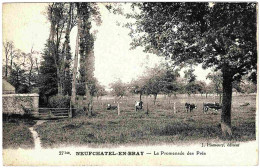 76 - B25524CPA - NEUFCHATEL EN BRAY - La Promenade Des Prés - Très Bon état - SEINE-MARITIME - Neufchâtel En Bray