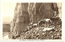 - B25318CPA - LEYSIN - SUISSE - Au Pied De La Tour De Famelon - Moutons - Parfait état - EUROPE - Leysin