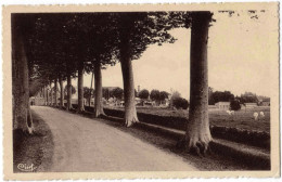 71 - B32185CPA - MARCIGNY - Les Boulevards - Ligne P.L.M. De Roanne - Parfait état - SAONE-ET-LOIRE - Autres & Non Classés