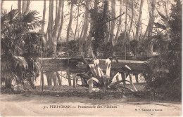 FR66 PERPIGNAN - Bf Chalon 31 - Promenade Des Platanes - Belle - Perpignan
