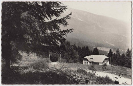 74 - B31836CPSM - SAINT EUSTACHE - Les Gentianes - Chalet Vaillance Et Joie Arras - Bon état - HAUTE-SAVOIE - Autres & Non Classés