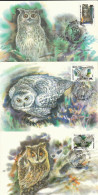 Owl, Owls, Eagle-owl, Bubo Bubo, Hibou Grand-duc, Uhu, Buho, Rapace - Set Of 3,RUSSIA  1990 Carte Maximum Card ,CM. - Owls
