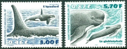 SAINT PIERRE AND MIQUELON 2001 WHALES** - Baleines