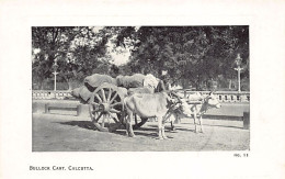 India - KOLKATA Calcutta - Bullock Cart - Indien