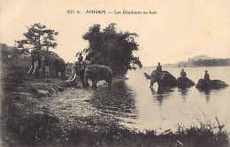 Viet Nam - ANNAM - Les éléphants Au Bain - Ed. P. Dieulefils 1027 A - Viêt-Nam