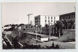 Algérie - ALGER - Diar El Mahçoul - CARTE PHOTO - Ed. Ph. C. Vignal  - Algeri