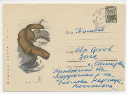 Postal Stationery Soviet Union 1967 Mink - Sonstige & Ohne Zuordnung