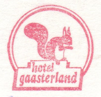Postcard / Postmark Netherlands 2006 Squirrel - Other & Unclassified