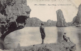 Viet Nam - Baie D'Along - La Colonne Et Le Lion - Ed. P. Dieulefils 299 - Viêt-Nam