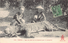 Vietnam - TONKIN - Tigre Tué Placé Sur Un Brancard Pour Le Transporter - Ed. P. Dieulefils 3136 - Viêt-Nam