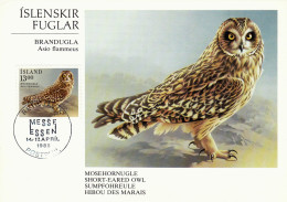 Owl, Owls, Eagle-owl, Hibou DES MARAIS,  1988 Carte Maximum Card ,CM.,ISLAND. - Gufi E Civette