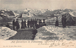 Auf Stanserhorn Im Frühsommer (NW) - Verlag E. Goetz 1873 - Andere & Zonder Classificatie