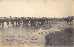 Campagne Du Maroc 1917 - Colonne Delamothe - Passage De L'Oued Souss Par Un Convoi De Chameaux - CARTE PHOTO - Other & Unclassified