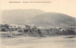 DJEBEL OUENZA - Mellègue Et Usine De La Société Concessionaire - Otros & Sin Clasificación