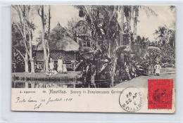 Mauritius - Scenery In Pamplemousses Gardens - Publ. A. Appavou 69 - Mauricio