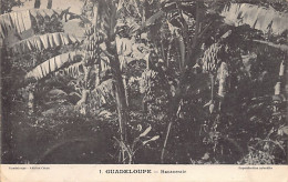 Guadeloupe - Bananeraie - Ed. Catan 1 - Otros & Sin Clasificación