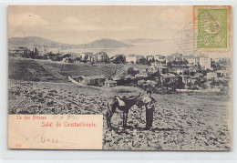 Turkey - ISTANBUL Constantinople - Ile Des Princes - Publ. Unknown 197 - Türkei