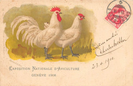 GENÈVE - Exposition Nationale D'Aviculture 1908 - Illustration Coq Et Poule De Ramelsloher - Ed. H. Stürtz 10 - Genève