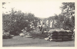 Brasil - Est. De Sao Paulo - Colheita De Café - POSTAL FOTO - Ed. Desconhecido245 - Otros & Sin Clasificación