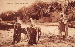 Algérie - Laboureurs Arabes - Femmes Attelées - Ed. ADIA 8060 - Profesiones